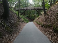 Rozenbos / Holleweg