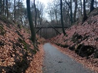 Rozenbos / Holleweg