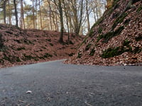 Rozenbos / Holleweg
