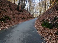 Rozenbos / Holleweg