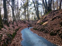 Rozenbos / Holleweg