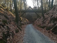 Rozenbos / Holleweg
