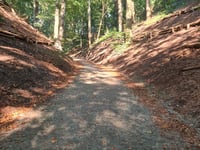 Holleweg Wageningen