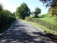 Holliguette