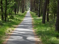 Holterberg par Plaggenweg
