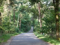 Motieweg