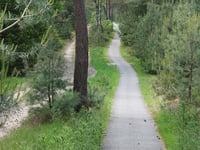 Holterberg über Vossenweg