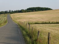 Holthausen von Niedersorpe