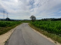 Homberg from Engen via Im Doggenhardt