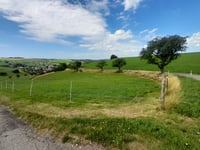 Homberg da Leipferdingen