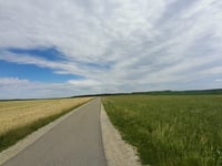 Homberg