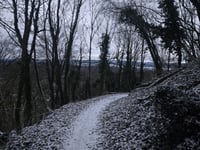 Homburg von Stahringen