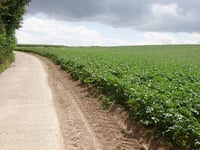 Hommelenberg über Kale Hermenbos