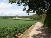 Hommelenberg über Kale Hermenbos