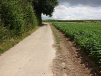 Hommelenberg über Kale Hermenbos