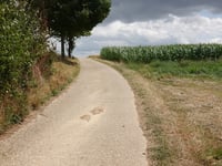 Hommelenberg über Kale Hermenbos