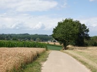 Hommelenberg über Kale Hermenbos