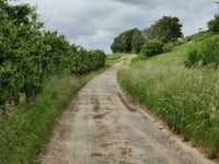 Hommelenberg