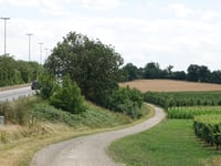 Hommelenberg