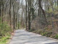Hommelseweg