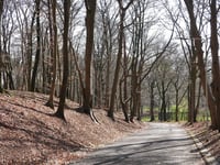 Hommelseweg
