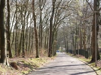 Hommelseweg