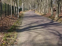 Hommelseweg