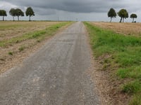 Hommer Heide von Hommerschen
