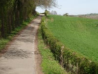 Hommerigerweg von Mechelen