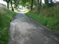 Hondsdraf über Ridderweg
