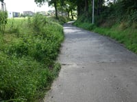 Hondsdraf über Ridderweg