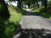Hondsdraf über Ridderweg