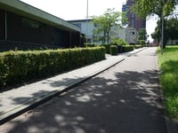 Hondsdraf über Ridderweg
