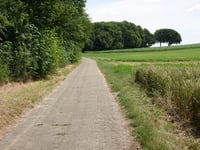 Hondskerk über Steingraafpad