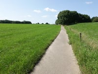 Hondsrug von Beitel
