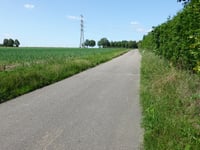 Hondsrug von Beitel