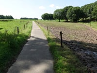 Hondsrug von Beitel
