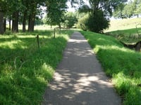 Hondsrug von Beitel