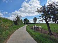 Hongersberg von Widooie
