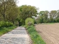 Honsdorfer Hügel von Honsdorf
