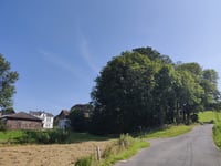 Honselweg from Letmathe