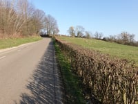 Honthem von Eckelrade