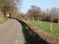 Honthem von Eckelrade
