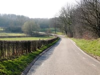 Honthem von Eckelrade