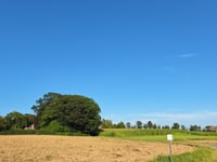 Hoogpoort