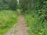 Hoogstraat von Terhagen