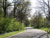 Hoogte 80 via Burgemeester Bloemersweg