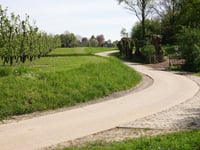 Hooilingen from Schalkhoven