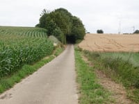 Hoolstraat von Ketsingen