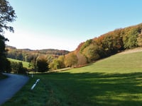 Hopscheider Berg über Priehlbachtal